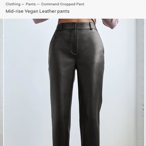 Aritzia Command Pant